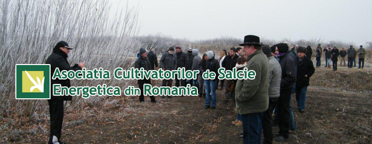 Asociatia Cultivatorilor de Salcie Energetica